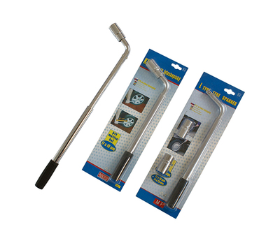 HS-LS01-02